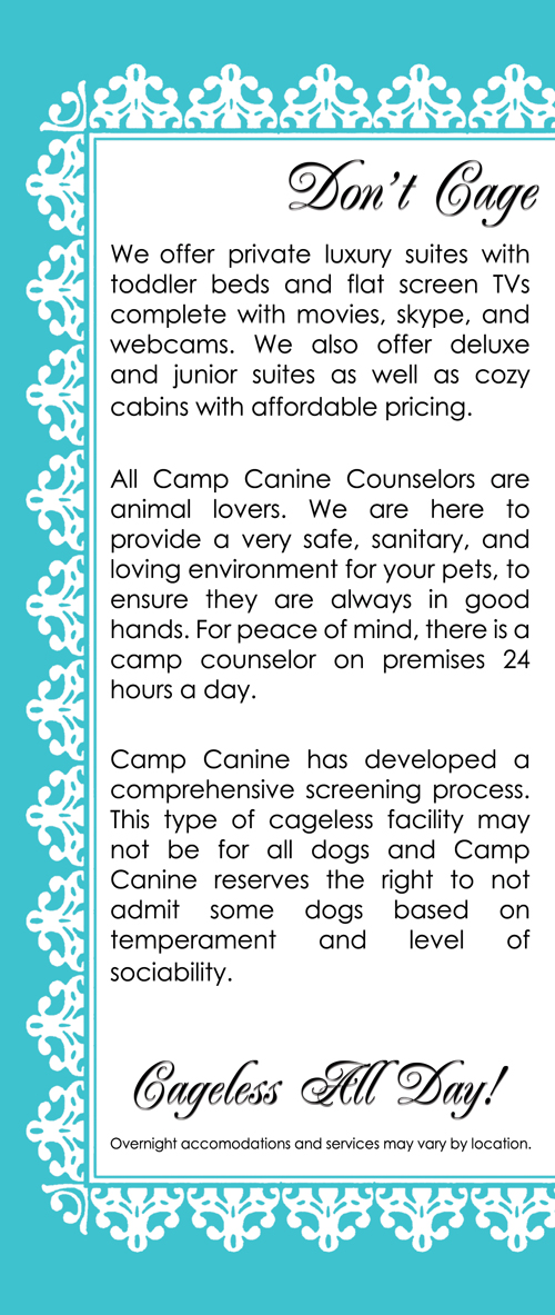 Camp Canine Dogs